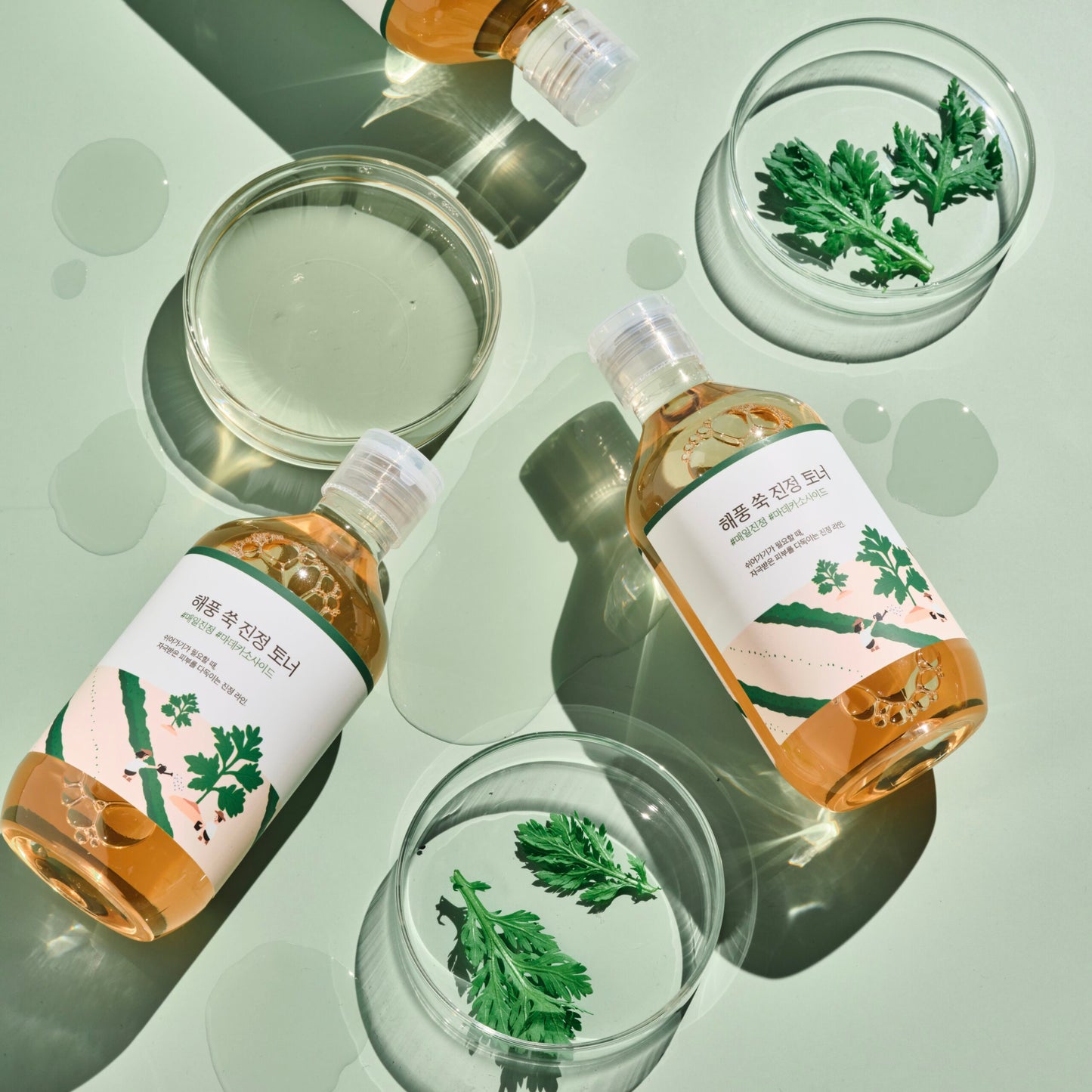 Заспокійливий тонер з морським полином ROUND LAB Mugwort Calming Toner, 300 ml