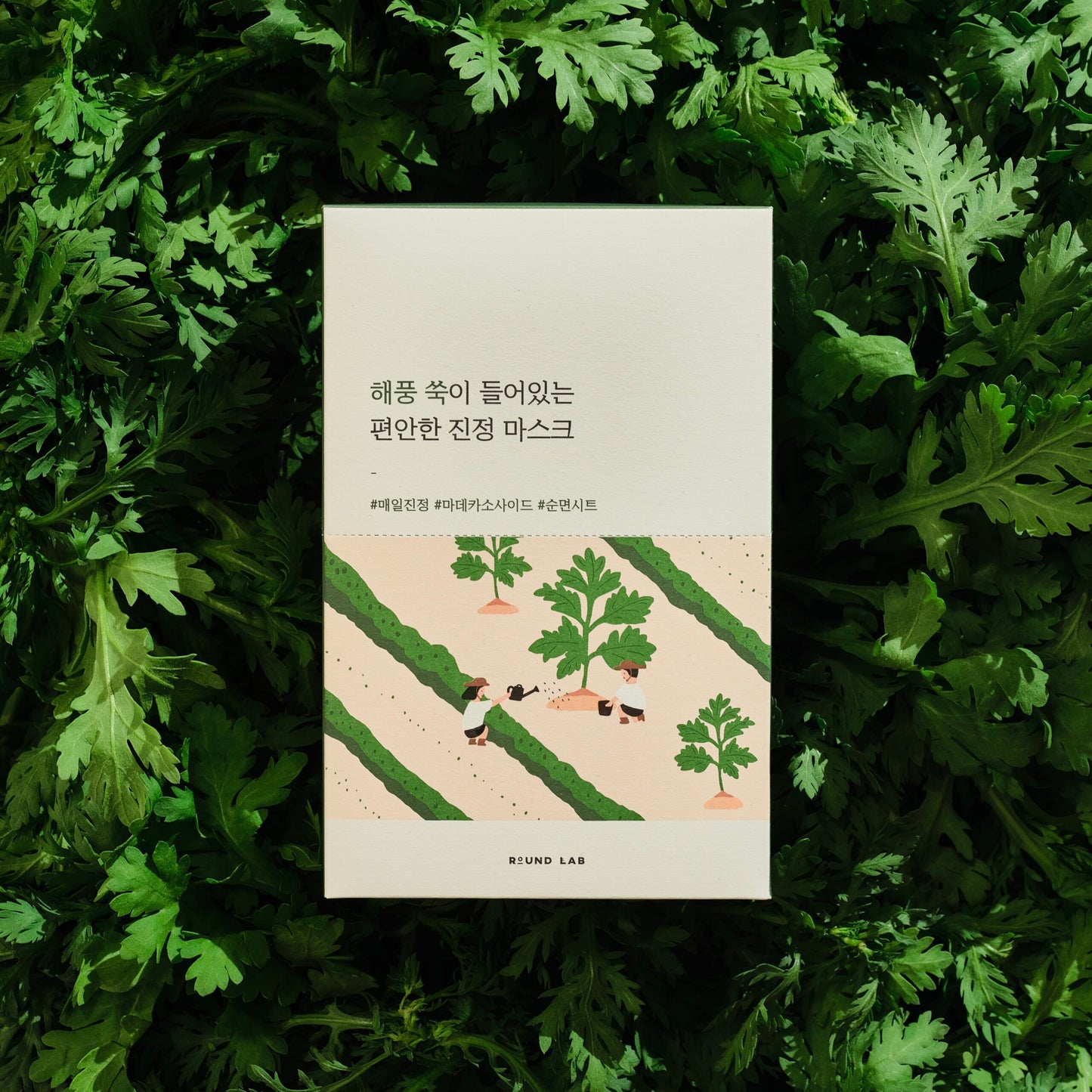 Заспокійлива тканинна маска ROUND LAB Mugwort Calming Mask Sheet, 25 ml